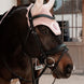 Kentucky Oornetje Wellington Sparkling – detailfoto 5
