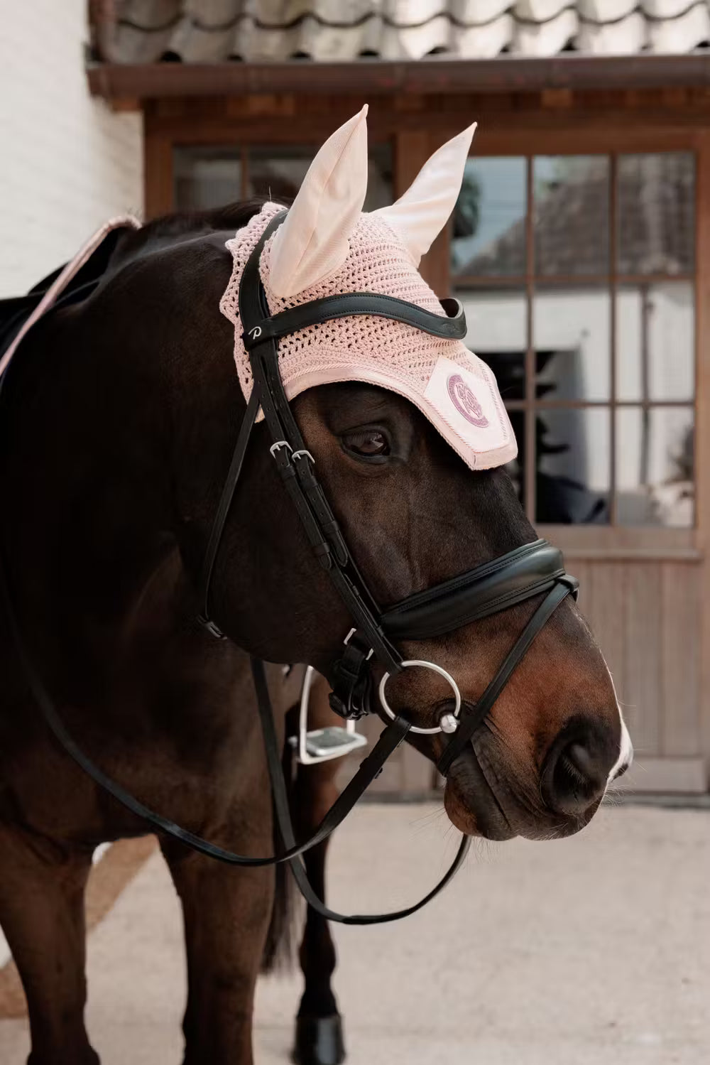 Kentucky Oornetje Wellington Sparkling – detailfoto 5