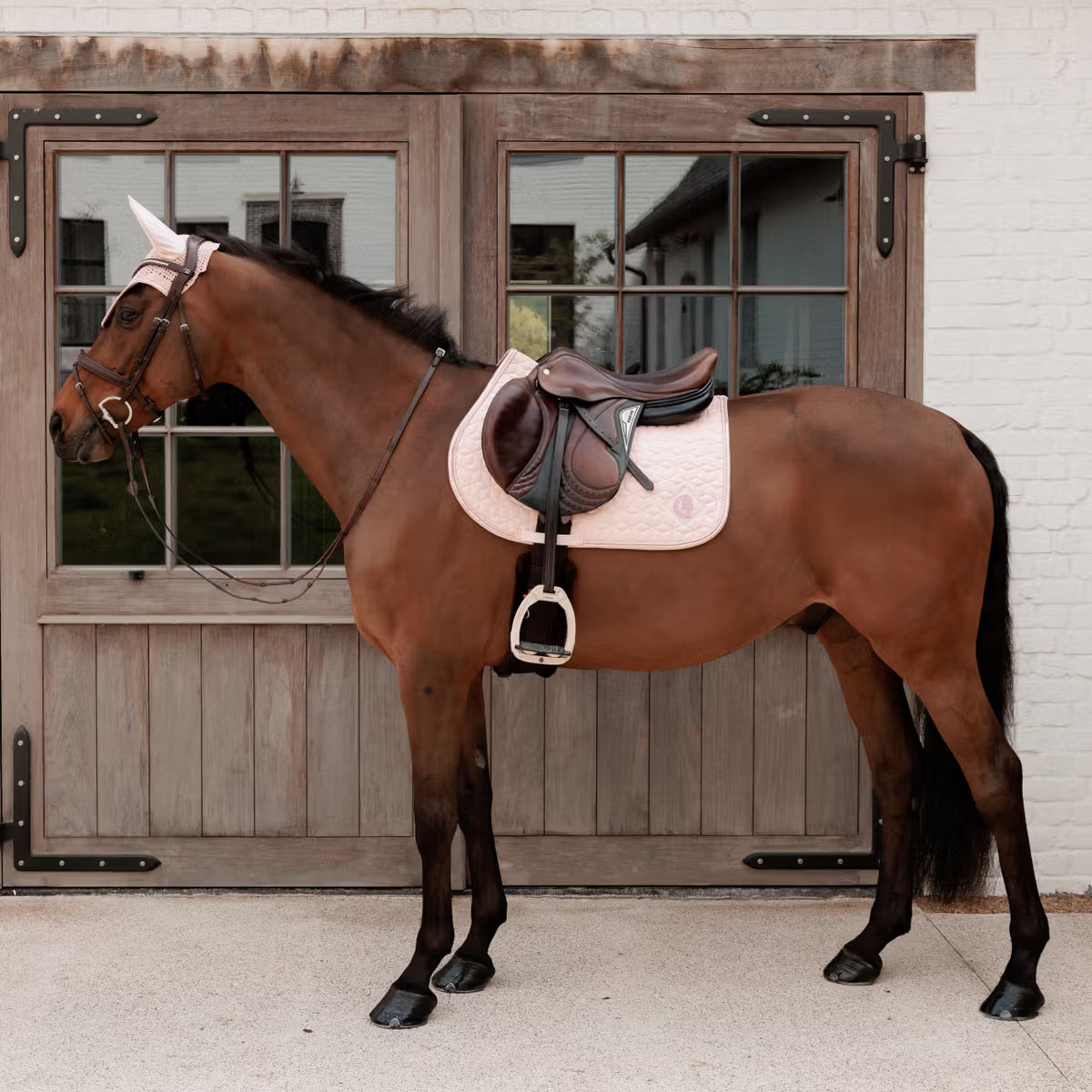 Kentucky Zadeldek Sparkling – detailfoto 23