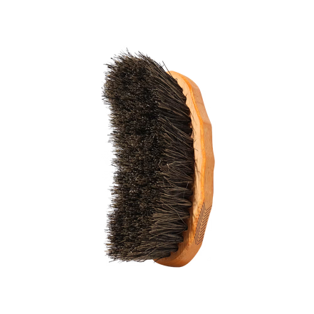 Kentucky Middle hard brush