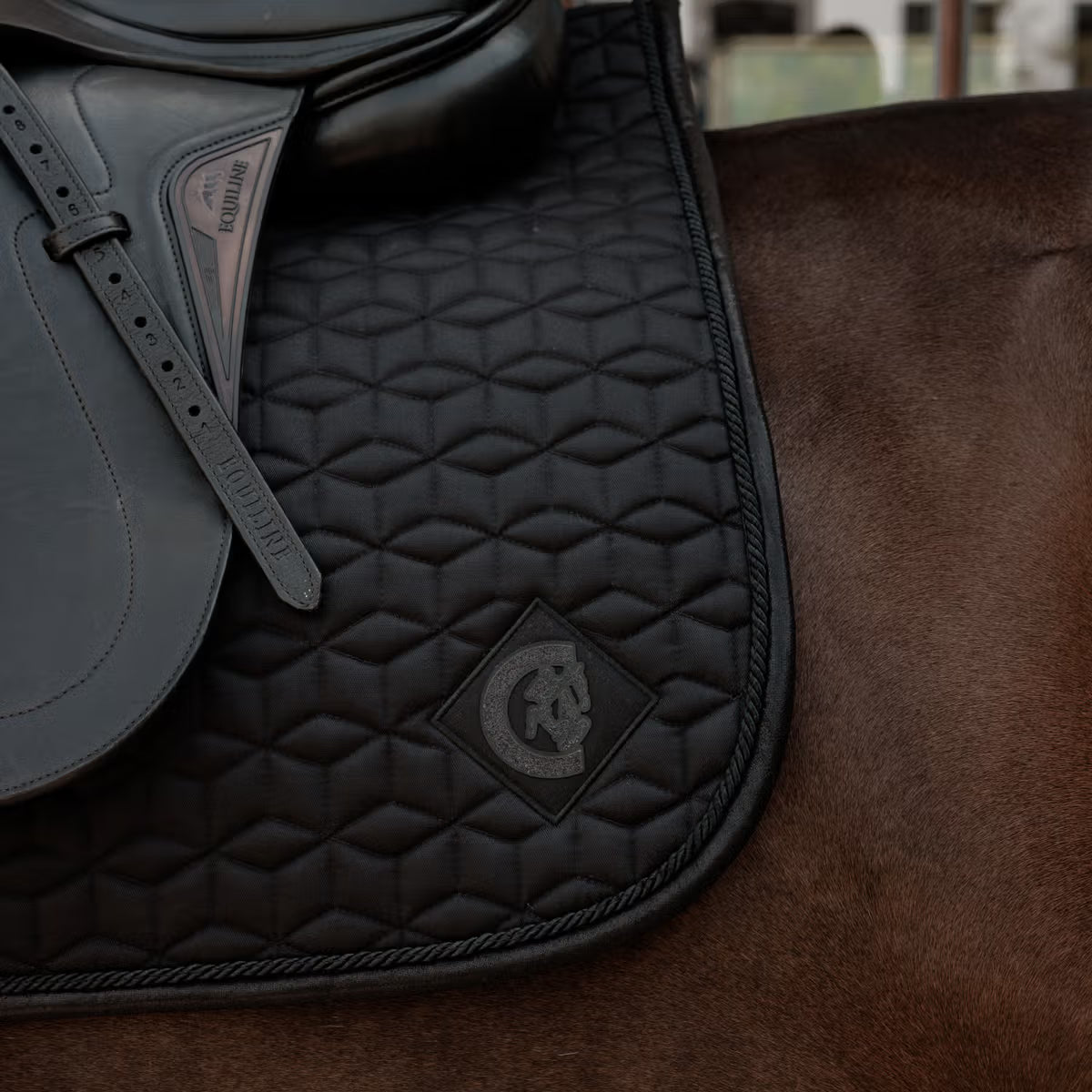 Kentucky Zadeldek Sparkling – detailfoto 10