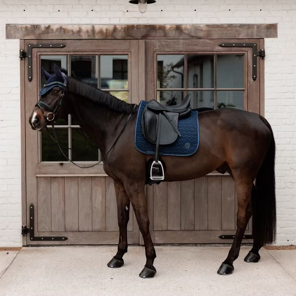 Kentucky Zadeldek Sparkling – detailfoto 14