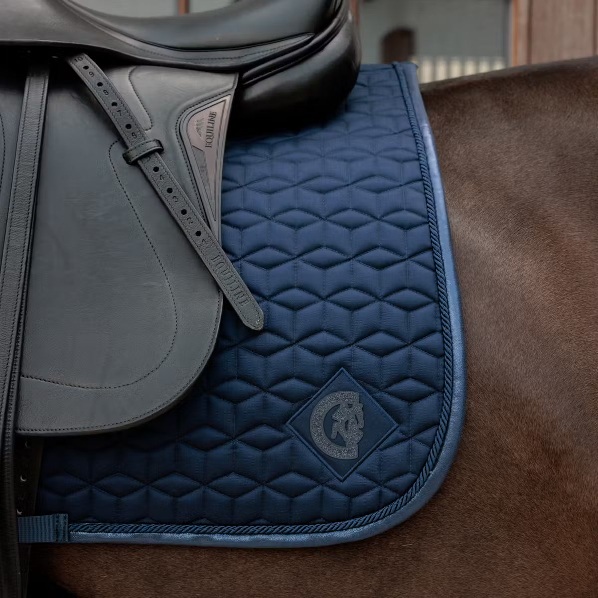 Kentucky Zadeldek Sparkling – detailfoto 13