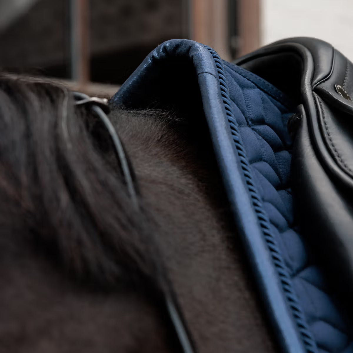 Kentucky Zadeldek Sparkling – detailfoto 12