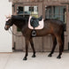 Kentucky Zadeldek Sparkling – detailfoto 8