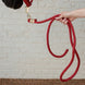Kentucky Lead Rope Basic Halstertouw Sterk en Betrouwbaar Touwen - Maddelin Equestrian Kentucky