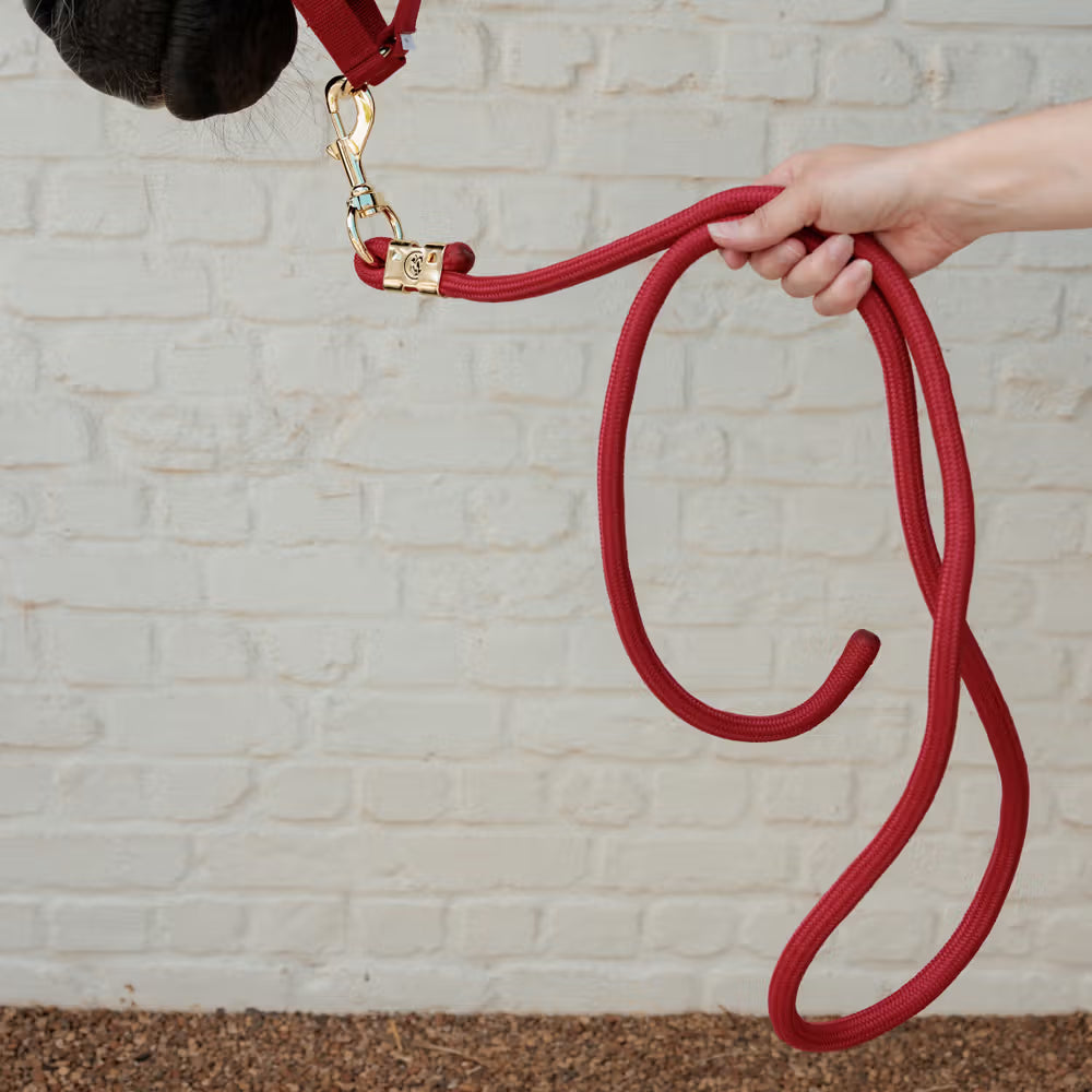 Kentucky Lead Rope Basic Halstertouw Sterk en Betrouwbaar Touwen - Maddelin Equestrian Kentucky