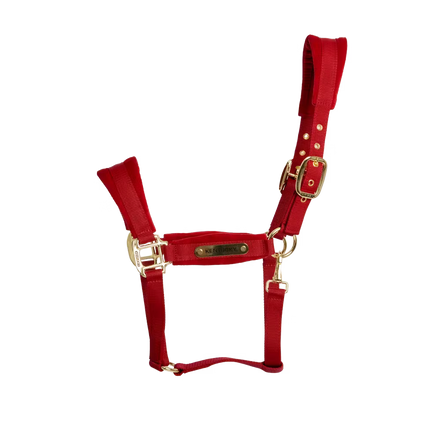 Kentucky Velvet Halfter