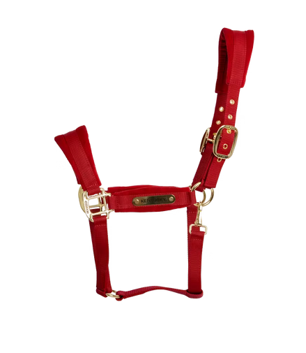 Kentucky Velvet Halster