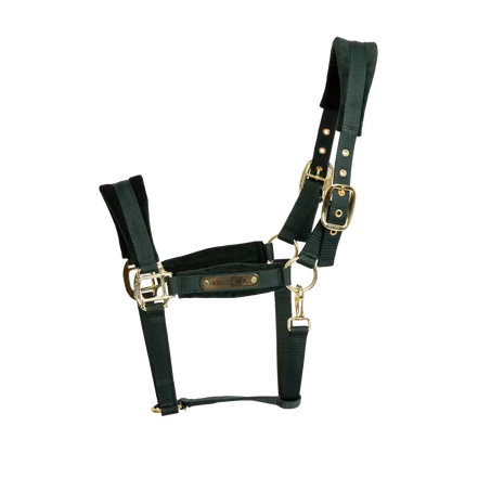 Kentucky Velvet Halfter