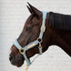Kentucky Velvet Halster