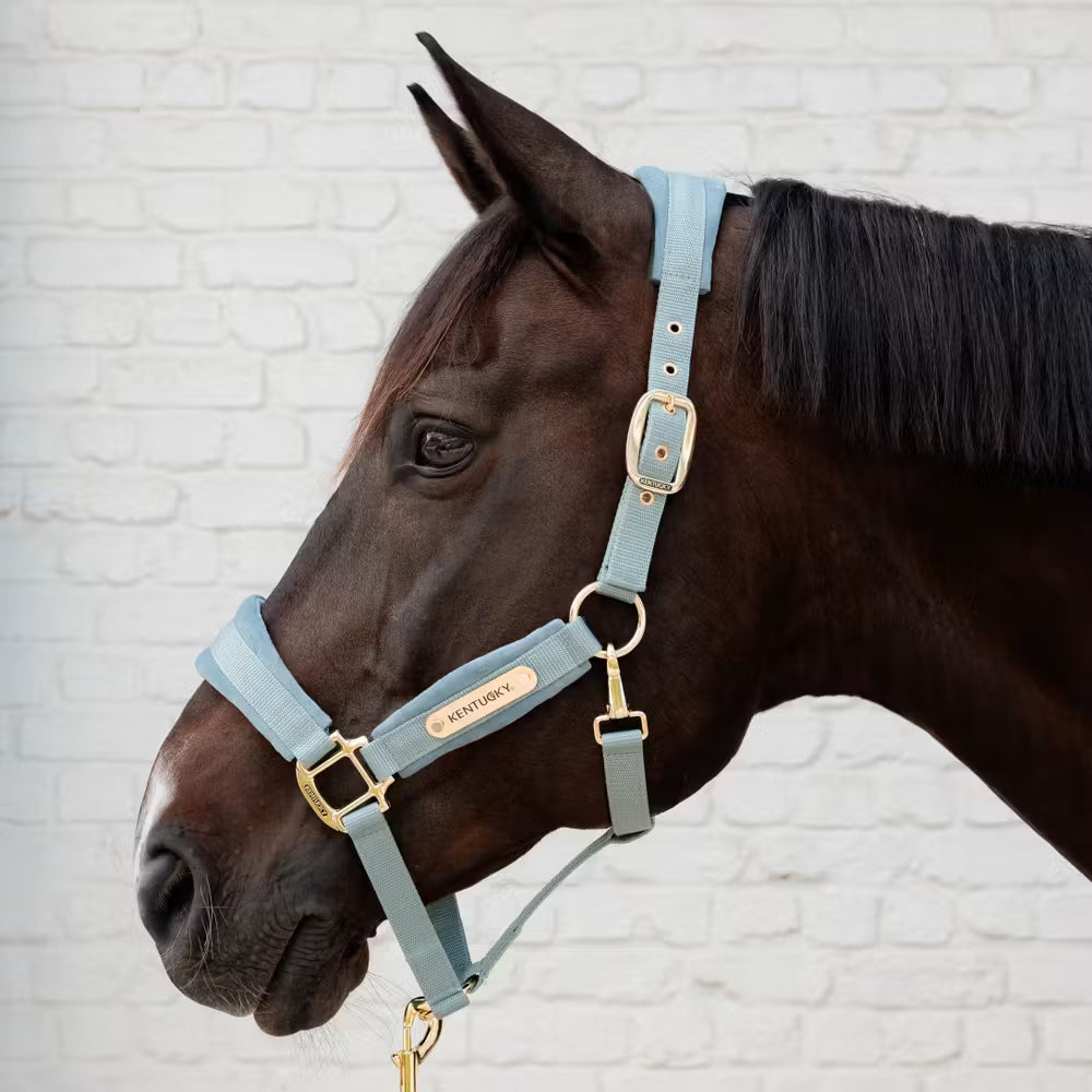 Kentucky Velvet Halster