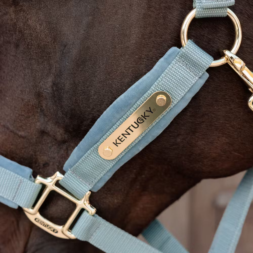 Kentucky Velvet Halster