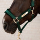 Kentucky Velvet Halster