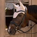 Kentucky Oornetje Wellington Velvet – detailfoto 11