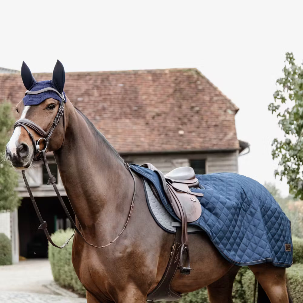Kentucky Uitrij Paardendeken 160 gram