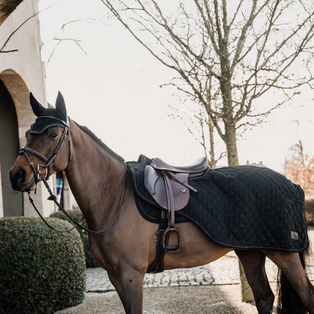 Kentucky Uitrij Paardendeken 160 gram