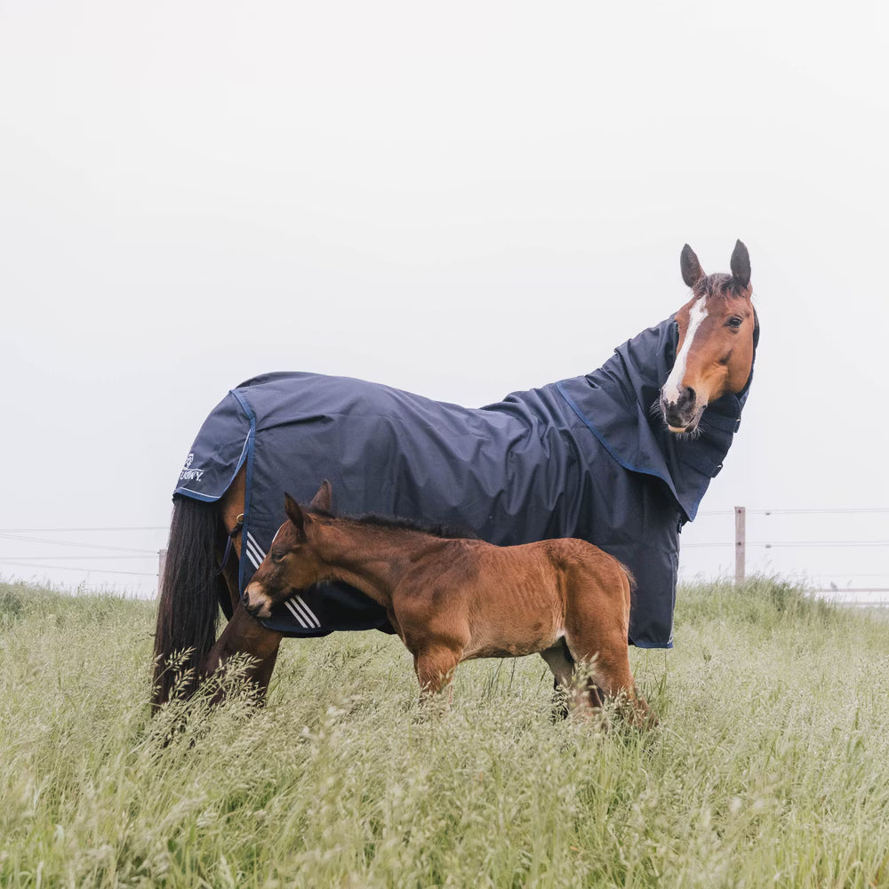 Kentucky Winterdeken All weather waterdicht comfort Outdoordeken - Maddelin Equestrian Kentucky