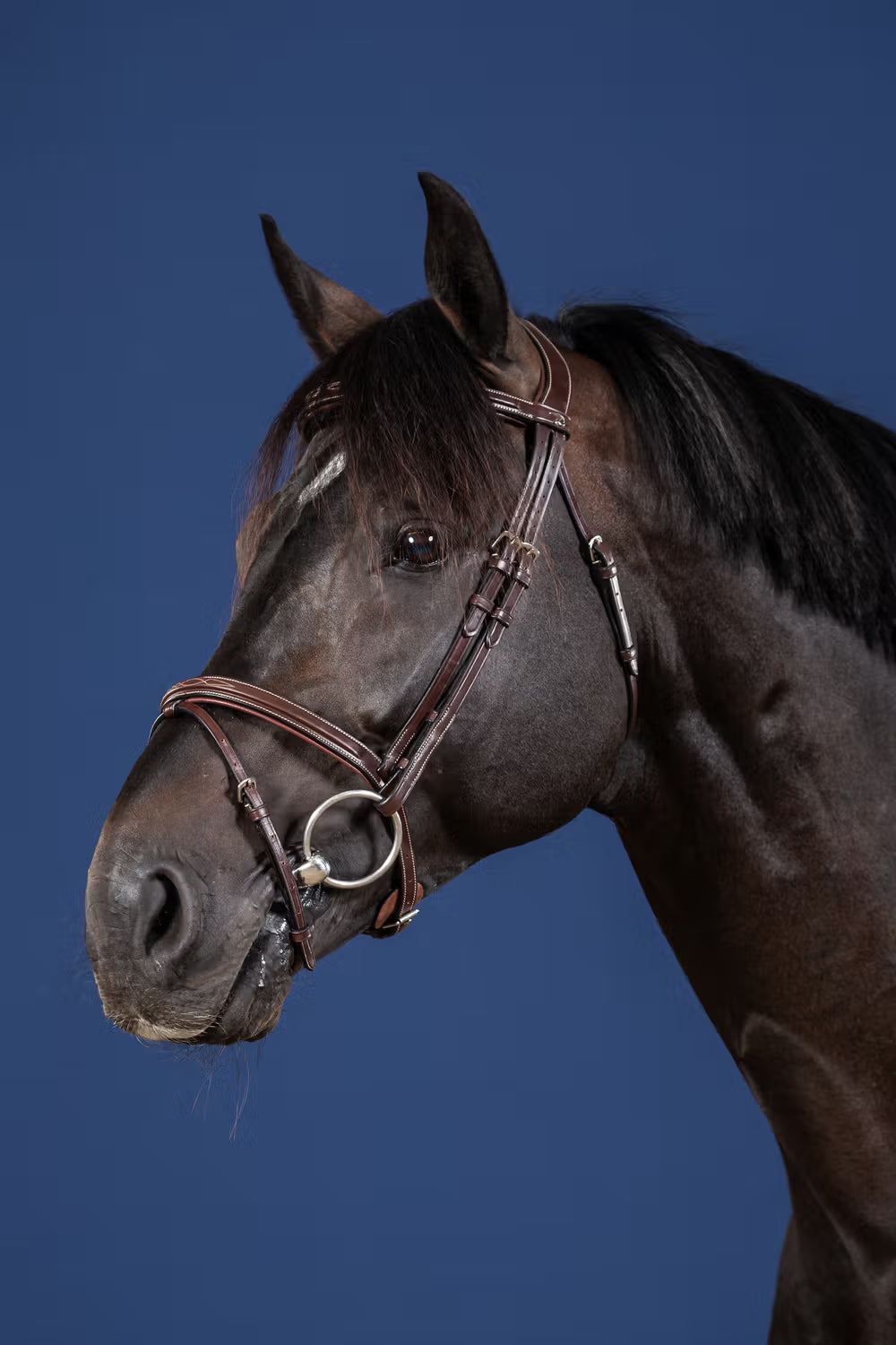 Dy'on Flash Noseband Hoofdstel Hunter – detailfoto 3
