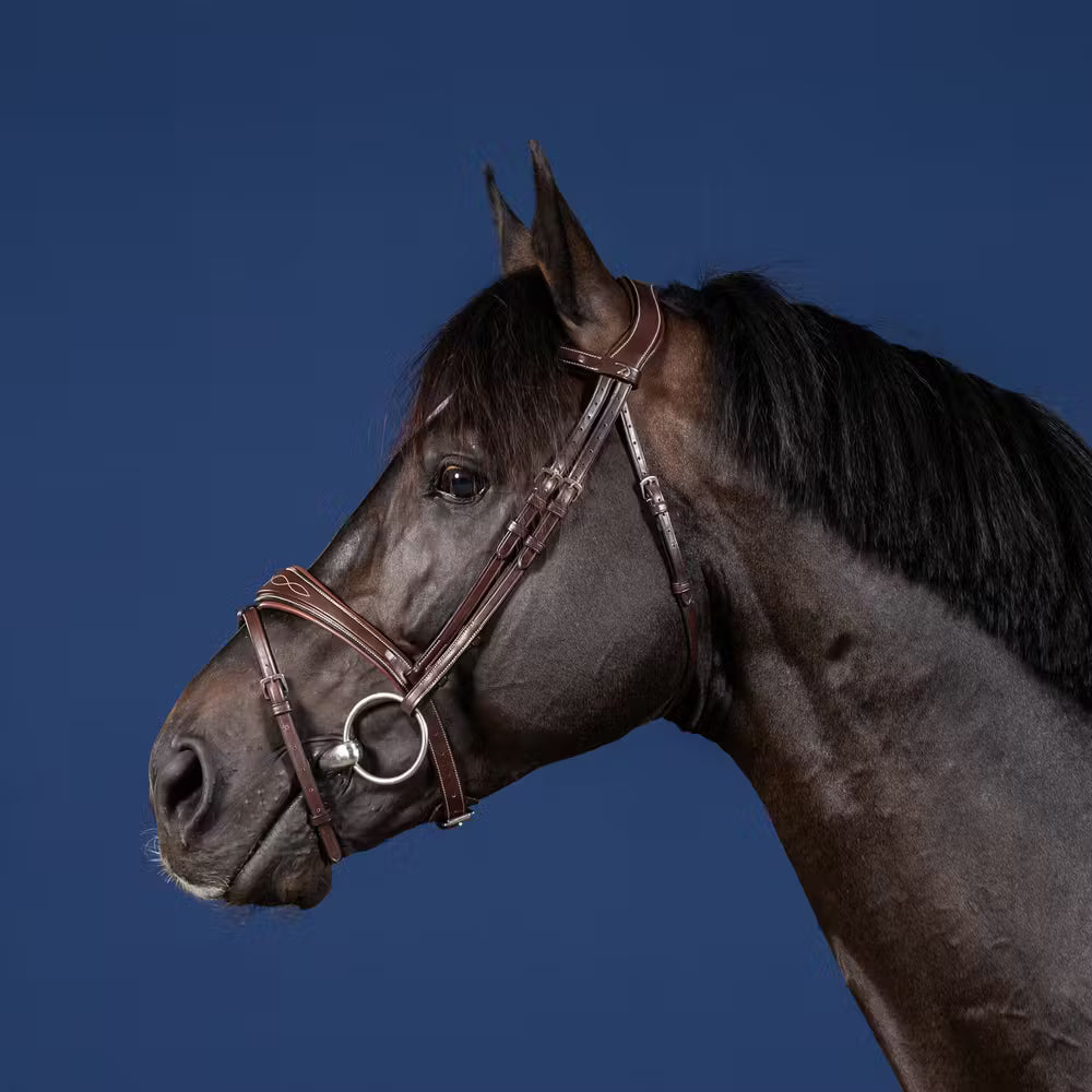 Dy'on Flash Noseband Hoofdstel Hunter – detailfoto 4