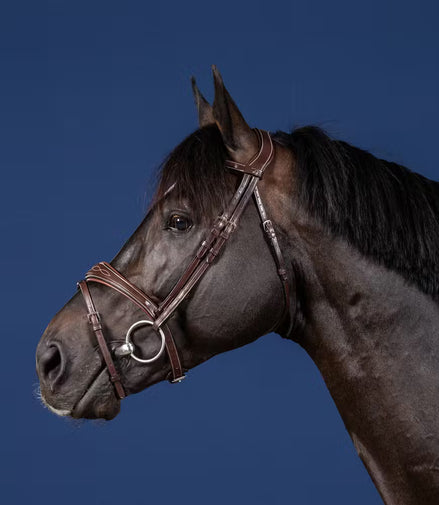 Dy'on Flash Nasenriemen Kopfstück Hunter