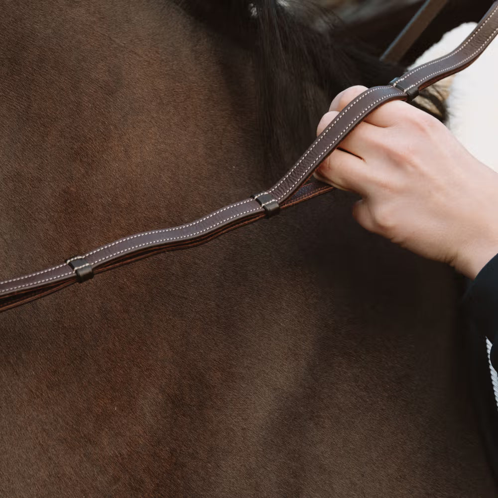 Dy'on Teugels met Handgrepen – detailfoto 3