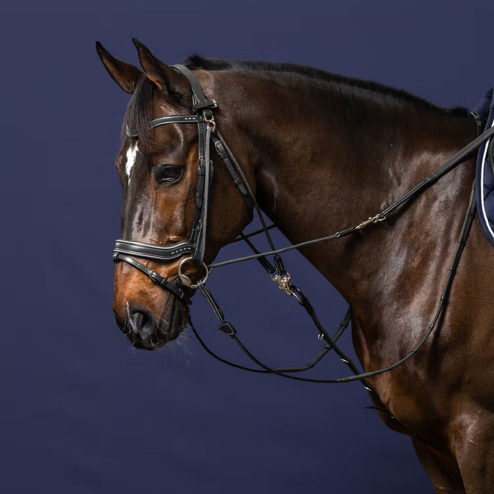 Dy'on 1/2 Rubber Gogue Teugels – hulpteugel | Maddelin Equestrian
