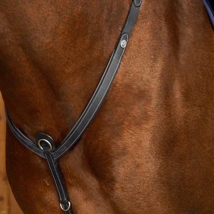 Dy'on Bridge Breastplate Working Collection