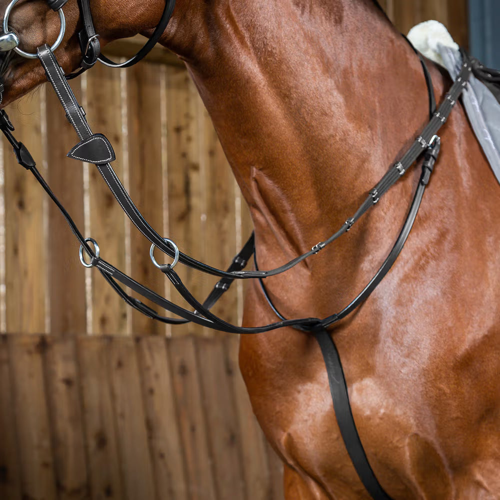 Dy'on Running Martingale - Working Collection Borstriemen en martingalen - Maddelin Equestrian Dy on