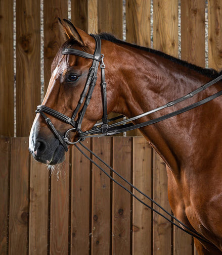 Dy'on Leather/Nylon Slof Teugels 5/8 (13mm) - Working