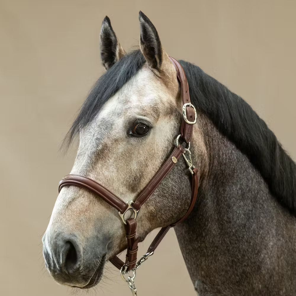 Dy'on Soft Leather Head Collar Working Collection – detailfoto 4