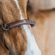 Dy'on Training Halster – detailfoto 3