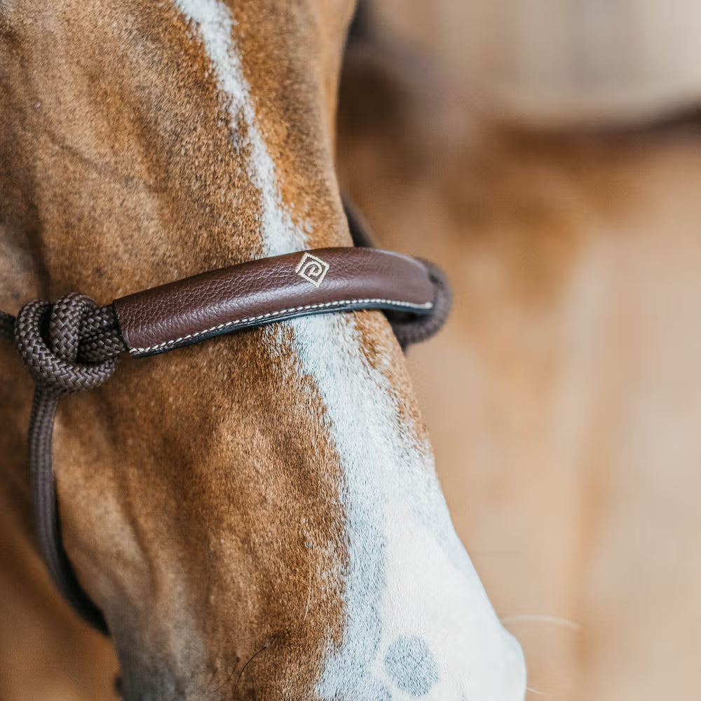 Dy'on Training Halster – detailfoto 3