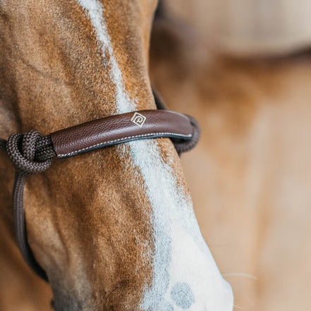 Dy'on Training Halster