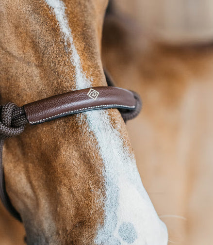 Dy'on Trainingshalfter