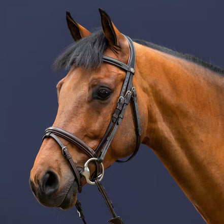 Dy'on Flash Noseband Bridle Working Collection
