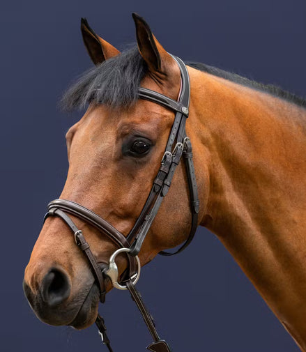 Dy'on Flash Neusriem Hoofdstel Working Collectie