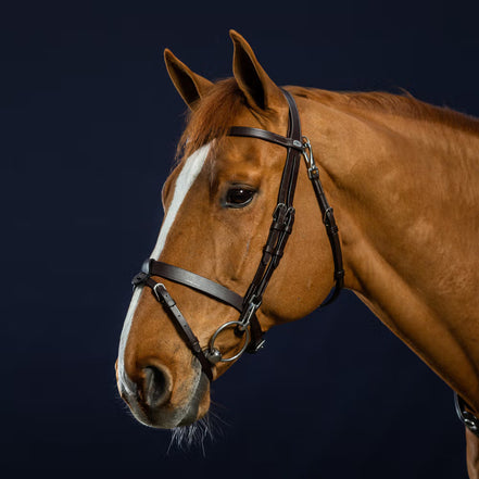 Dy'on Flaches Lederzaumzeug mit Karabinerhaken