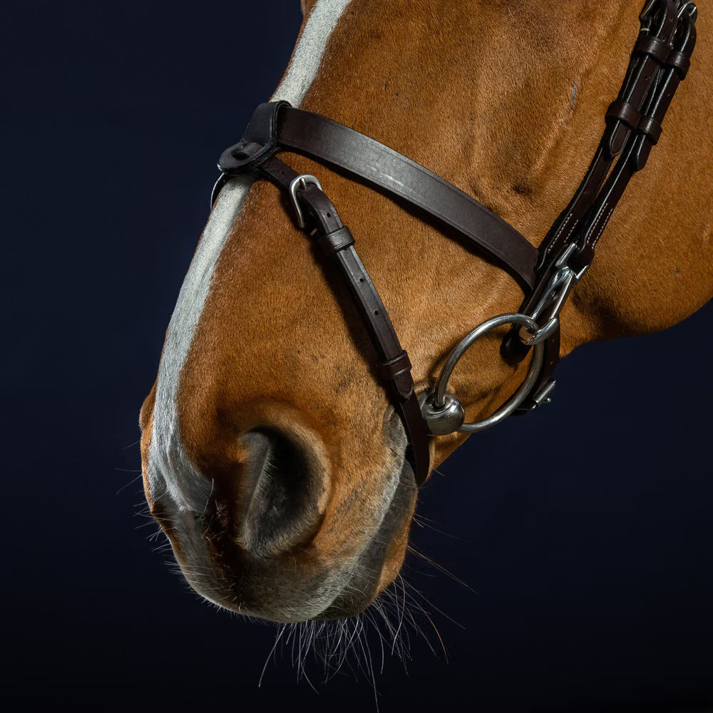 Dy'on Flat Leather Bridle With Snap Hooks – detailfoto 5