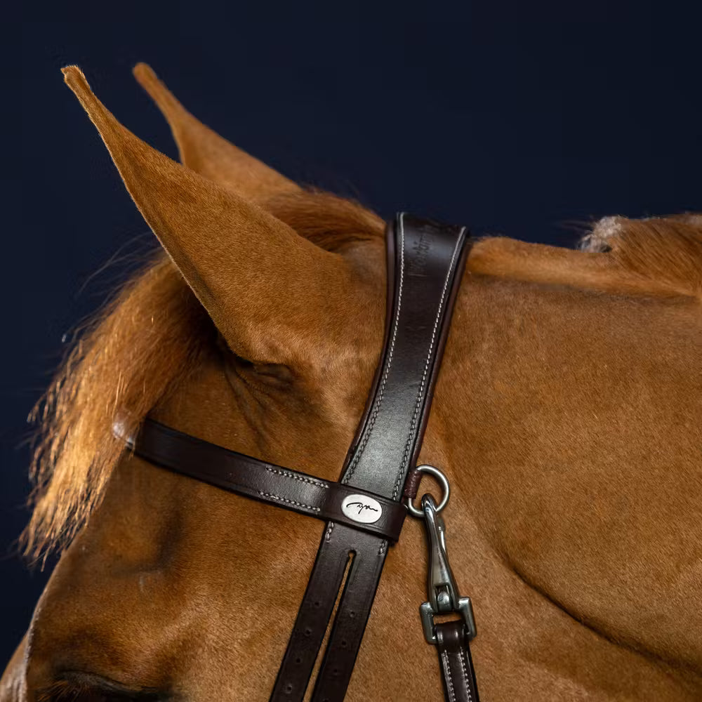 Dy'on Flat Leather Bridle With Snap Hooks – detailfoto 3