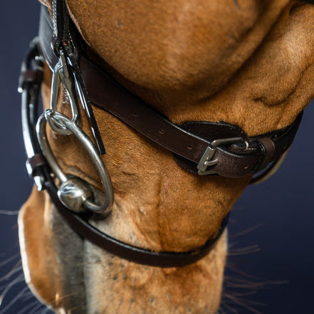Dy'on Flaches Lederzaumzeug mit Karabinerhaken