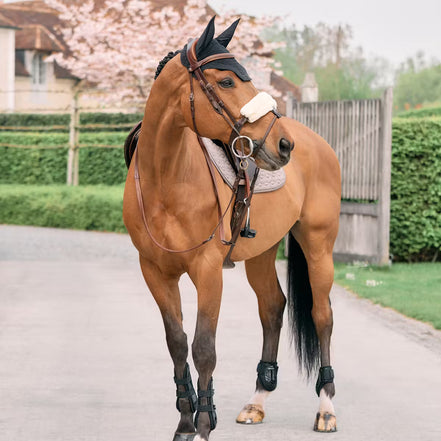 Couverture de muserolle Kentucky en laine 28 cm