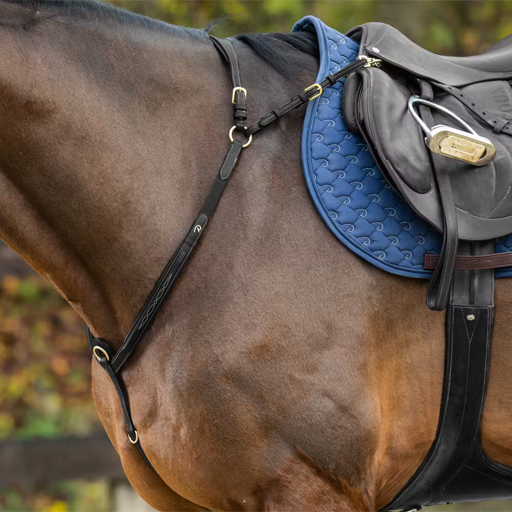 Dy'on Bridge Breastplate D Collection – detailfoto 5