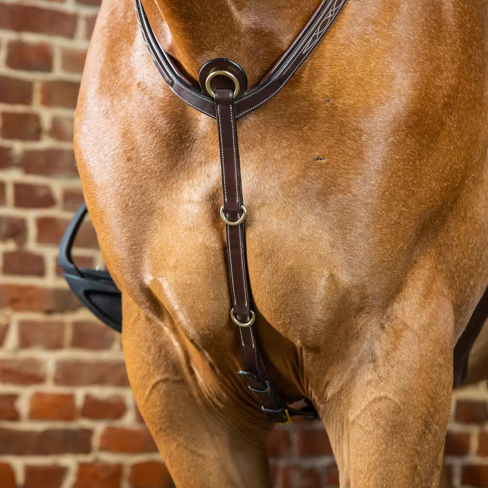 Dy'on Bridge Breastplate D Collection – detailfoto 2