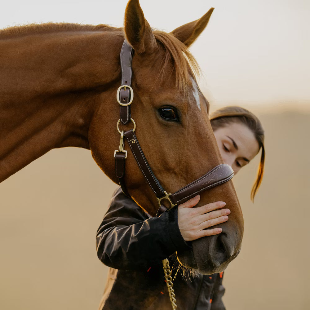 Dy'on Leather Head Collar D-Collection