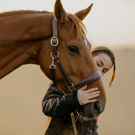 Dy'on Lederhalfter D-Kollektion