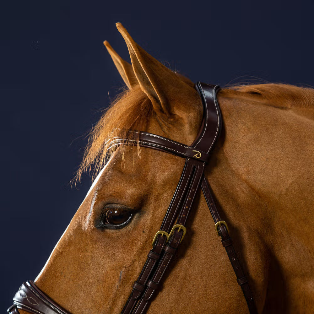 Dy'on Anatomic Flash Noseband Hoofdstel - D Collection Trenshoofdstellen - Maddelin Equestrian Dy on