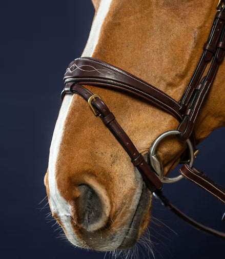 Dy'on Anatomic Flash Nasenriemen Kopfstück - D Kollektion