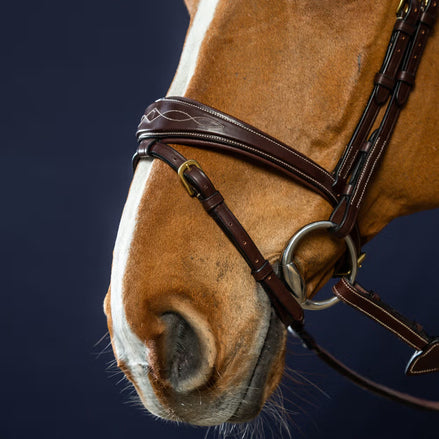 Dy'on Anatomic Flash Noseband Hoofdstel - D Collection Trenshoofdstellen - Maddelin Equestrian Dy on