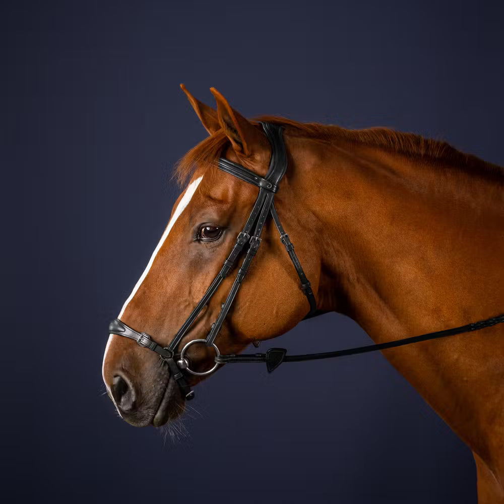Hoofdstel met aanpasbare Duitse neusriem New English Collection Trenshoofdstellen - Maddelin Equestrian Dy on